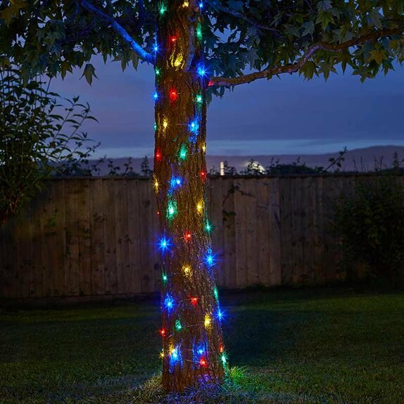 Firefly Multi Coloured - 100 LED