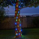 Firefly Multi Coloured - 100 LED