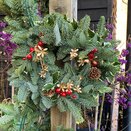 Fresh Wreath Holly Berry 10 inch