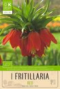 Fritillaria Imperialis Red