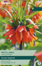 Fritillaria Imperialis - Rubra (1)