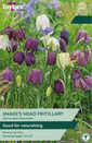 Fritillaria Meleagris - Mixed