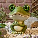 Frog Glow Eyes - image 2