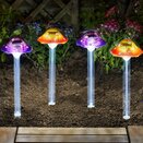 Funky Fungus - 4 Pack