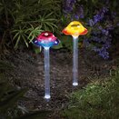 Funky Fungus - Mixed