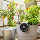 Gardena Auto Watering AquaBloom Set - image 1