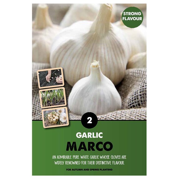 Garlic Marco