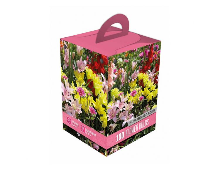 Giftbox Summer Garden 100 Mixed Bulbs Knights Garden Centres