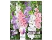Gladiolus White, Blue and Pink Combination Pack