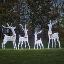 GlitterTwist Silver Reindeer 80cm  LV