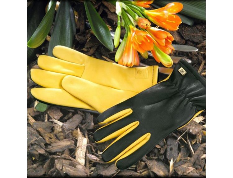 Gloves RHS Gold Leaf Dry Touch Ladies