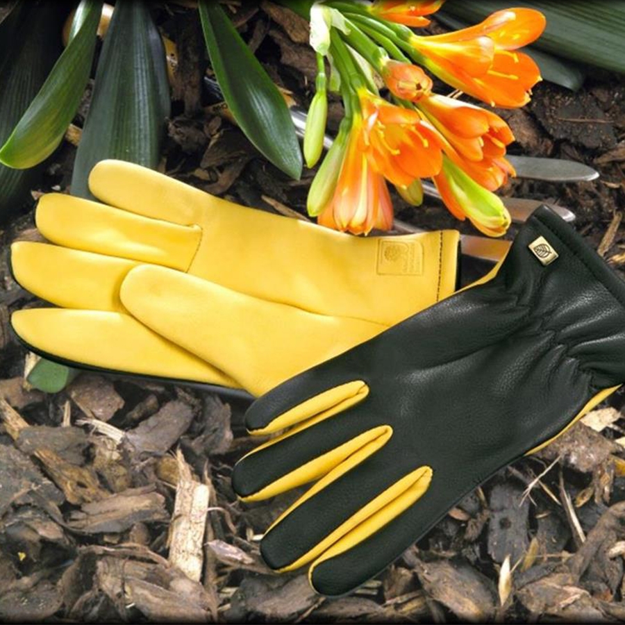 Gloves RHS Gold Leaf Dry Touch Ladies Knights Garden Centres