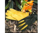 Gloves RHS Gold Leaf Dry Touch Men