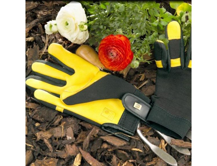 Gloves RHS Gold Leaf Soft Touch Ladies