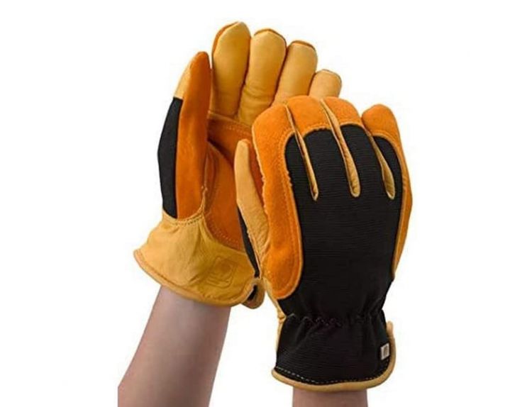 Gloves RHS Gold Leaf Winter Touch Ladies