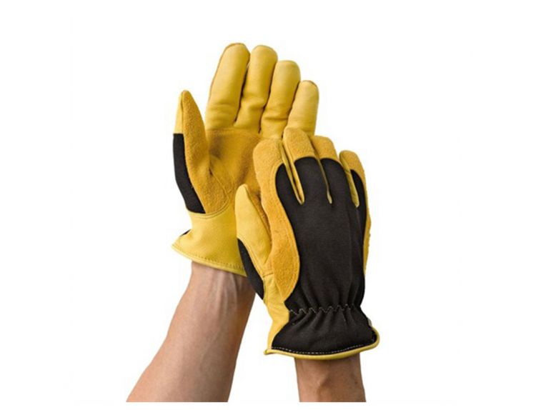 Gloves RHS Gold Leaf Winter Touch Men