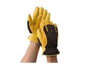 Gloves RHS Gold Leaf Winter Touch Men