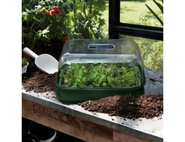 Green Basics Grow Tray Saucer Small Leaf Green - image 3