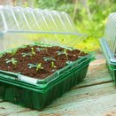 Gro-Sure Visiroot twin Propagator Set - image 2