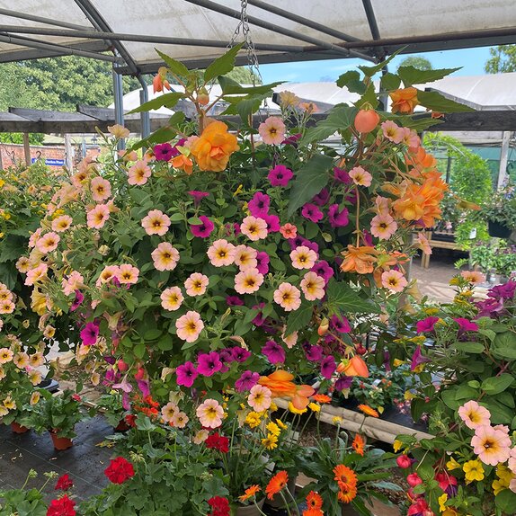 Hanging Basket Coir Wire - image 1