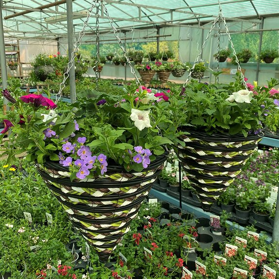 Hanging Basket Cone or round premium - image 1