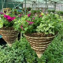 Hanging Basket Cone or round premium - image 3