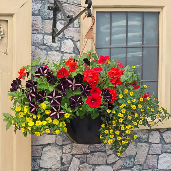 Hanging Basket/Container Pop Planter Brilliant Bling - image 1