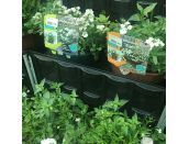 Hanging Basket/Container Pop Planter Effortless Chic - image 2