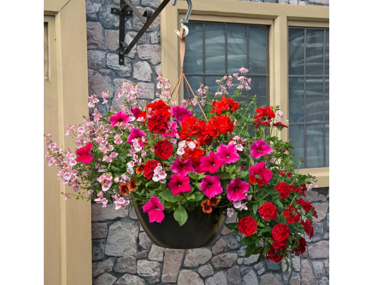 Hanging Basket/Container Pop Planter Lipstick - image 1