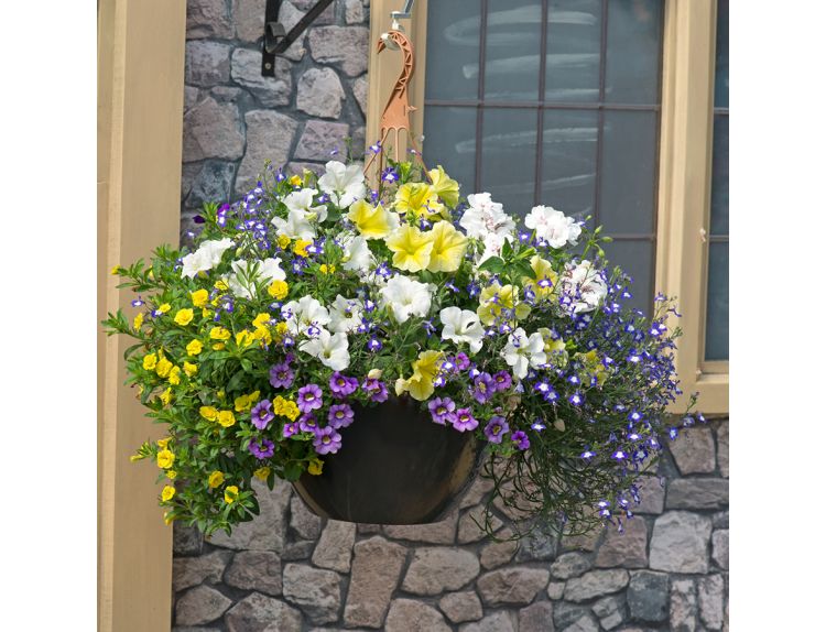 Hanging Basket/Container Pop Planter Nautical Chic