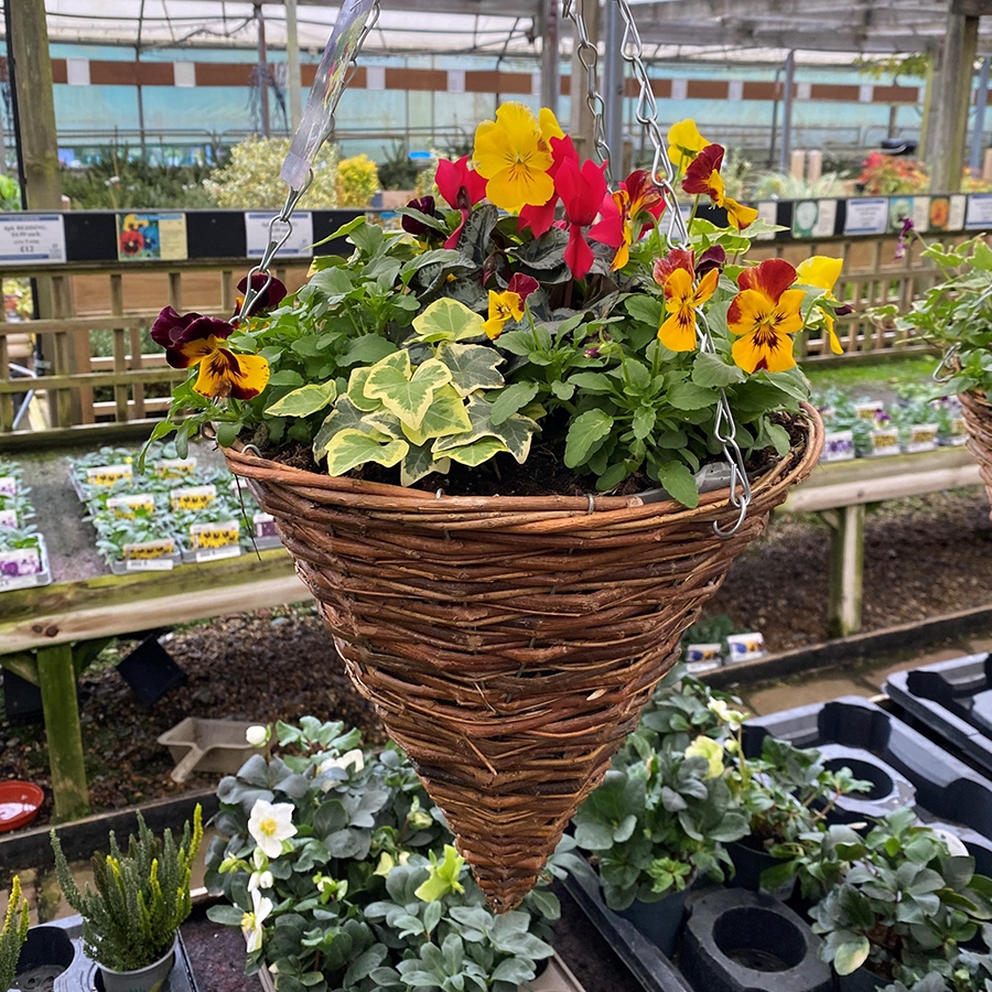 Hanging Basket Rattan Cone Knights Garden Centres