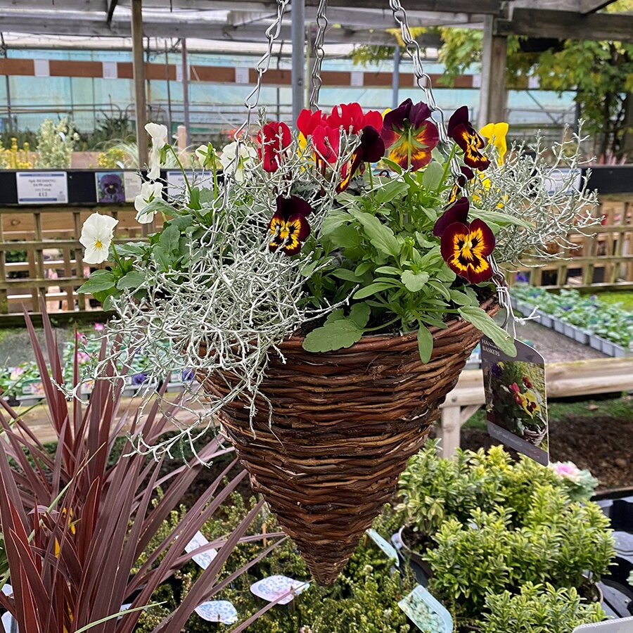 Hanging Basket Rattan Cone Knights Garden Centres
