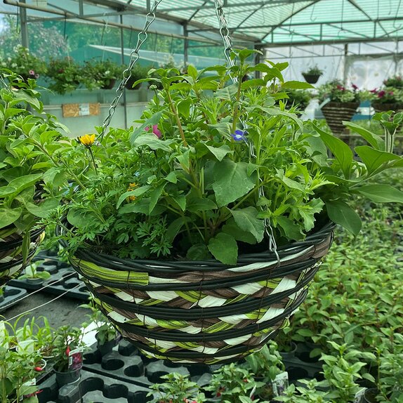 Hanging Basket round - image 2