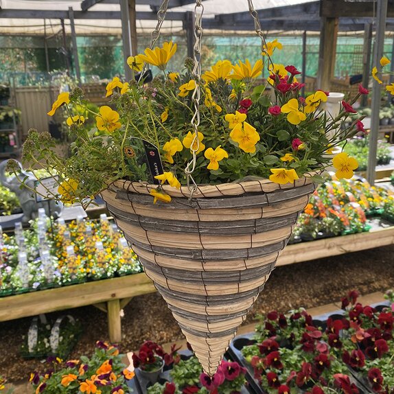 Hanging Basket Spring Mix 2 - image 1