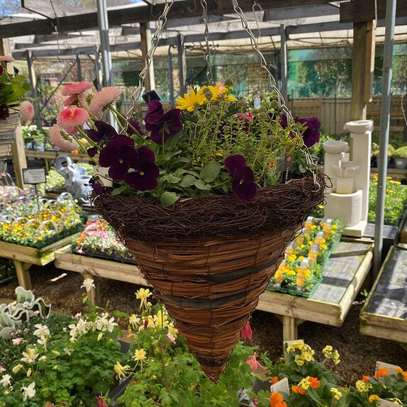 Hanging Basket Spring Mix 2 - image 2