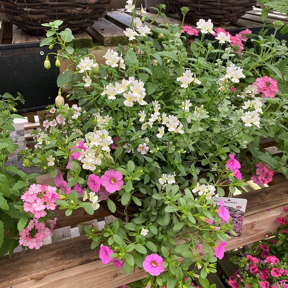 Hanging Basket Summer Bridal Bouquet