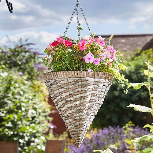 Hanging Pots & Baskets Knights Garden Centres