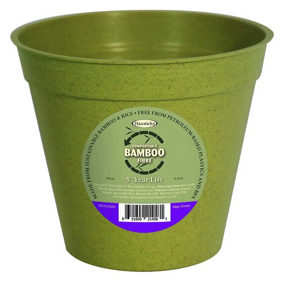 Haxnicks Bamboo Pot Sage Green 8"