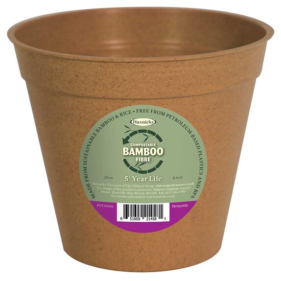 Haxnicks Bamboo Pot Terracotta 8"