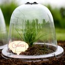Haxnicks Cloche Baby Victorian Bell X3 - image 2