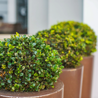 Hedging