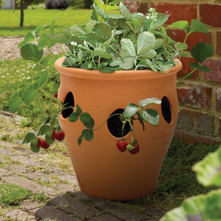 Herb Planter Terracotta 20cm Knights Garden Centres