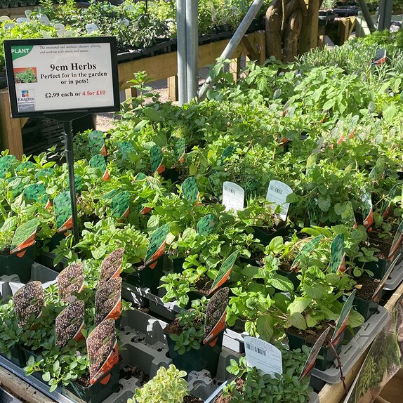 Herb Selection - image 1