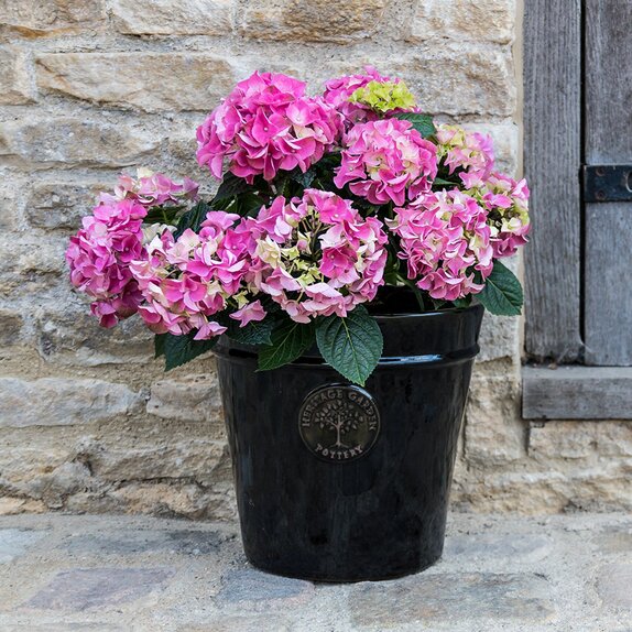 Heritage Black Pot 20cm - image 2