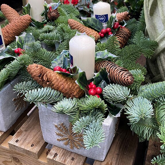 Holly Sprig and Cone Table Decoration