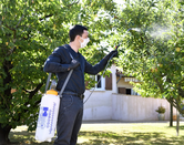 Hozelock Standard Sprayer - 10L - image 2