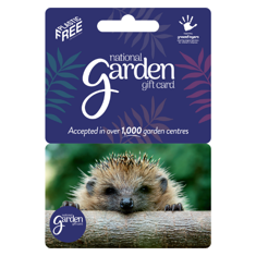HTA Gift Card Hedgehog £100
