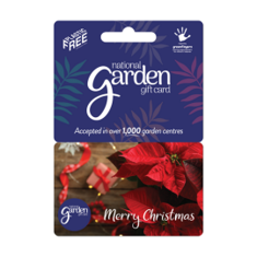 HTA Gift Card Poinsettia £90