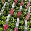 Impatiens Busy Lizzie Rose 6 pack