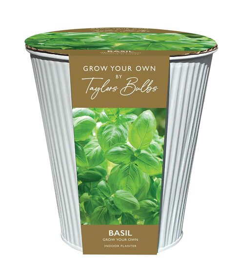 Indoor Basil Zinc Planter